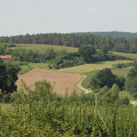 Ferienwohnung Passivhaus "Schoene Aussicht" Georgensgmund Bagian luar foto