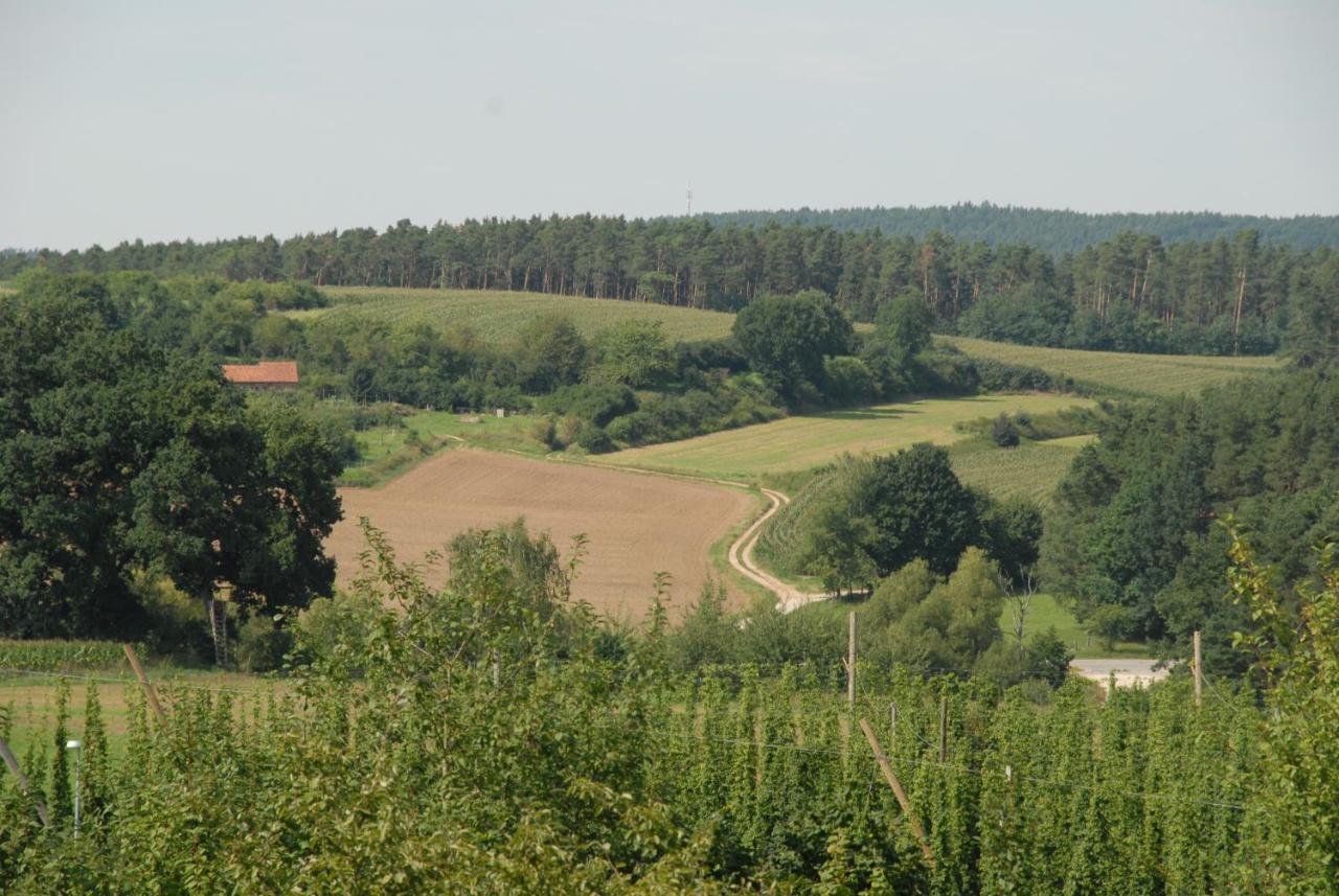 Ferienwohnung Passivhaus "Schoene Aussicht" Georgensgmund Bagian luar foto
